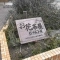 【東京都/葛飾区宝町】お花茶屋ローヤルコーポ マンション表札