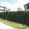 【埼玉県/戸田市大字新曽】東急ドエル・アルス戸田 専用庭