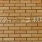 【東京都/大田区萩中】シティコープ萩中 マンション表札