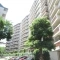 【大阪府/豊中市春日町】豊中野畑住宅 参号棟 外観