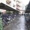 【東京都/西東京市ひばりが丘】フォレストレイクひばりが丘 C棟 駐輪場