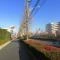 【東京都/八王子市松木】レクセルマンション京王堀之内 前面道路