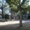 【東京都/新宿区舟町】シティタワー四谷 区立愛住公園