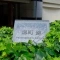 【京都府/京都市中京区堺町通蛸薬師下る】ディアステージ堺町錦 マンション表札