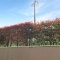 【神奈川県/横浜市旭区鶴ケ峰】サングレイスガーデン鶴ヶ峰 眺望