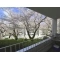 【神奈川県/横浜市青葉区桜台】桜台ビレジ 