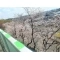 【大阪府/箕面市粟生外院】箕面東コーポラスB棟 