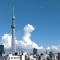 【東京都/台東区浅草】アデニウム浅草 
