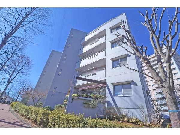 蓮生寺公園通り　三番街