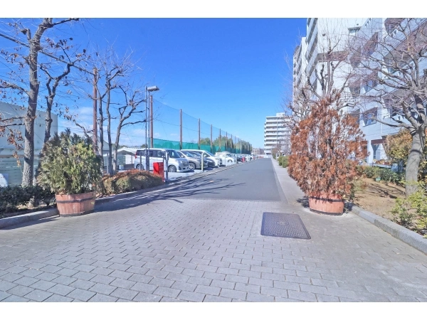 蓮生寺公園通り　三番街 敷地内