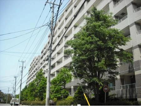 ウォルトンズコート長津田