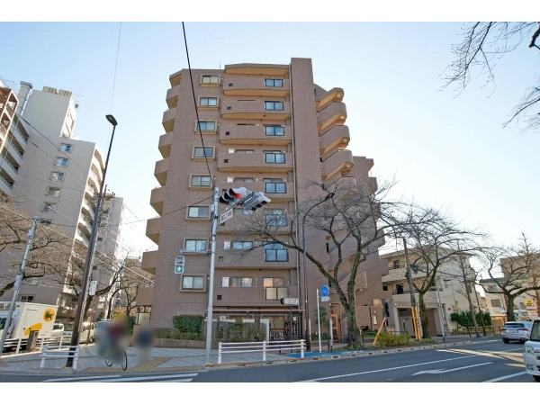 ネクステージ国立II