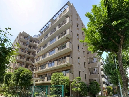 ハイラーク田無本町