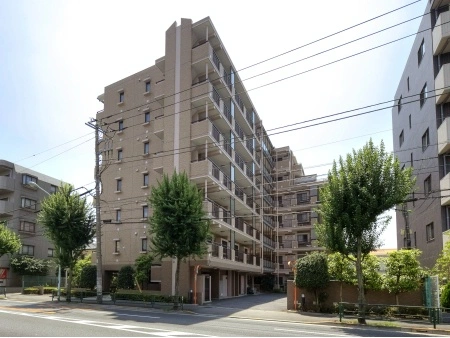 ハイラーク田無本町