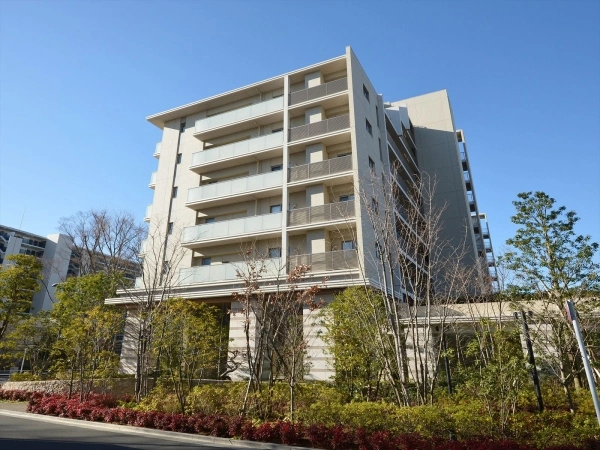ひばりが丘フィールズけやき通り