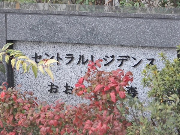 セントラルレジデンスおおたかの森
