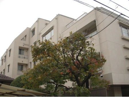 ブランズ武蔵小杉