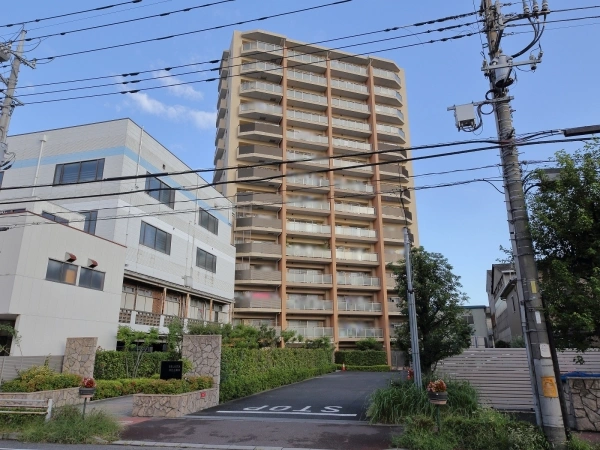 ベリスタ川口上青木