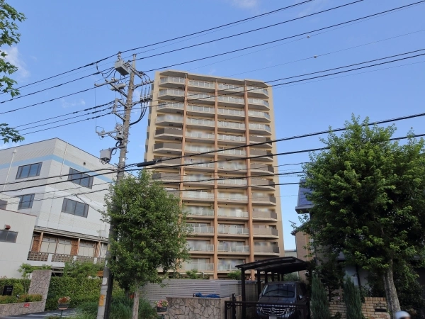 ベリスタ川口上青木