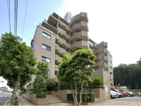 レックス市川松飛台
