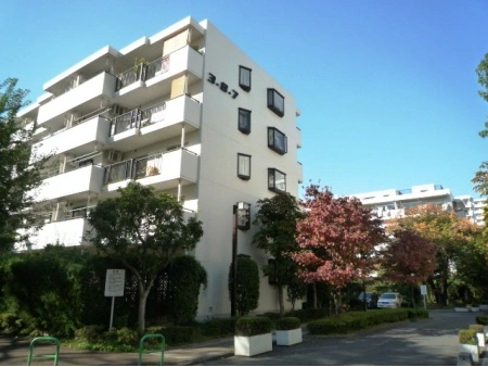 光が丘パークタウンいちょう通り八番街