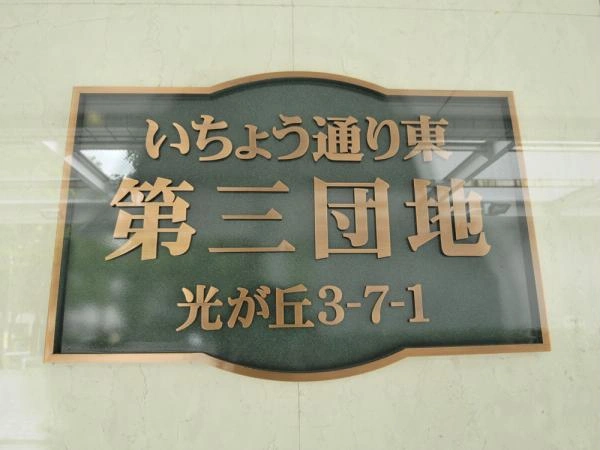 光が丘パークタウンいちょう通り東