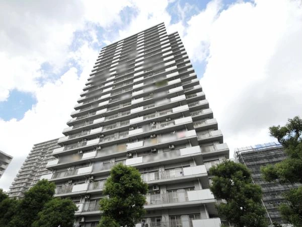 光が丘パークタウンいちょう通り東