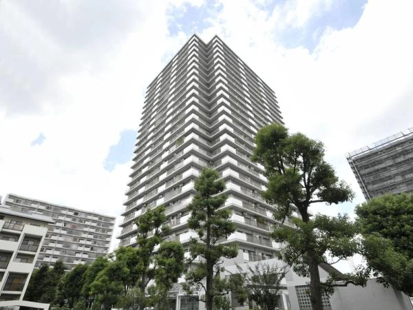 光が丘パークタウンいちょう通り東