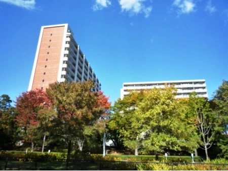 光が丘パークタウン大通り北