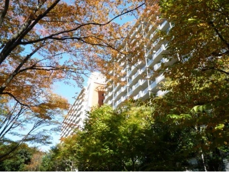 光が丘パークタウン大通り北