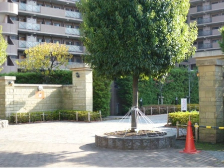 ワイズ222