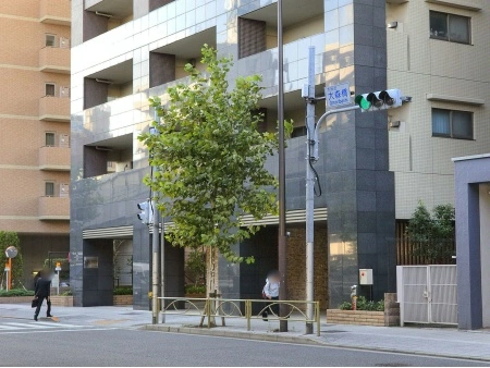 レーベンリヴァーレイオザ東京