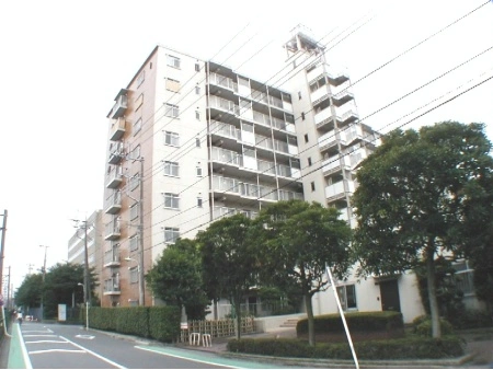 コープ野村浦和