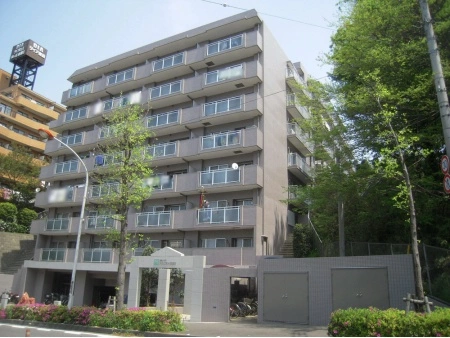 東急ドエルアルス向ケ丘遊園
