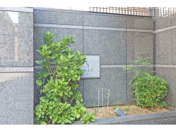 クレアーレ塚口町