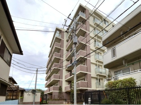 アデニウム船橋法典