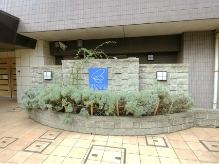 ウィライブ稲毛海岸