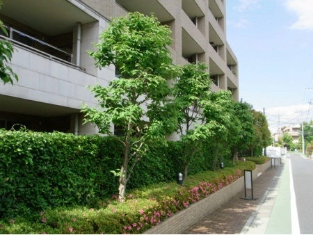 世田谷烏山ガーデンハウス