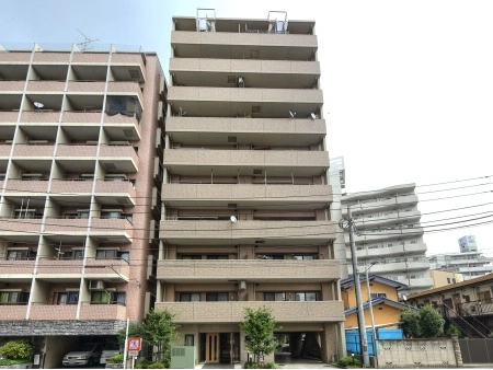 カテリーナ川口並木