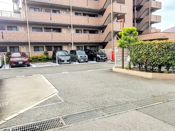 宝塚アクシード