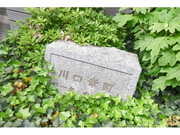 川口幸町パークホームズ