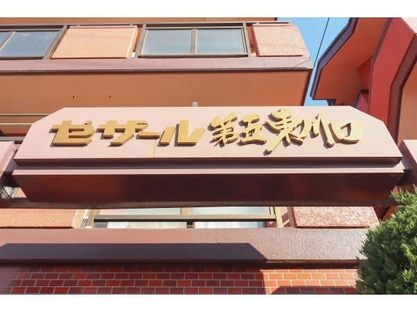 セザール第五東川口