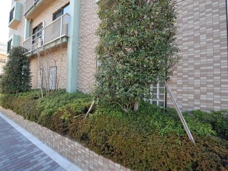 アベニール荻窪桃井