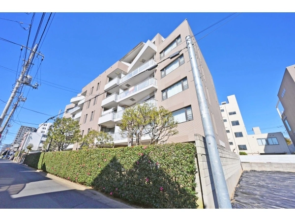 シティグレイス氷川