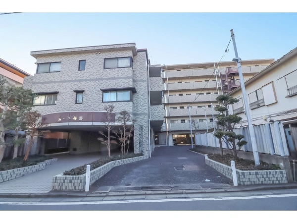 カーネ与野
