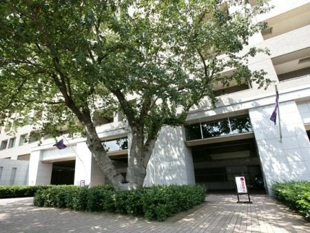 ライオンズ浜田山セントマークス