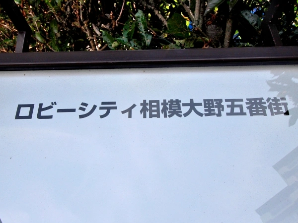 ロビーシティ相模大野5番街