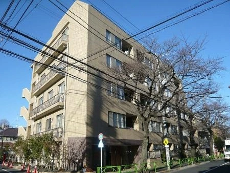 サンフル碑文谷碑さくら通り　ノースサイド