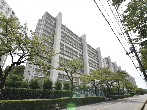 志木ニュータウン中央の森弐番街