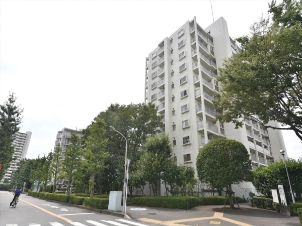 志木ニュータウン中央の森弐番街